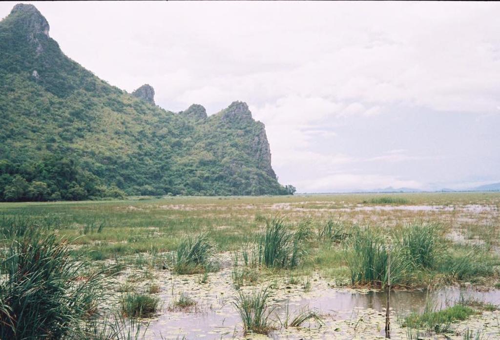 Lungcha Homestay Sam Roi Yot Exterior photo
